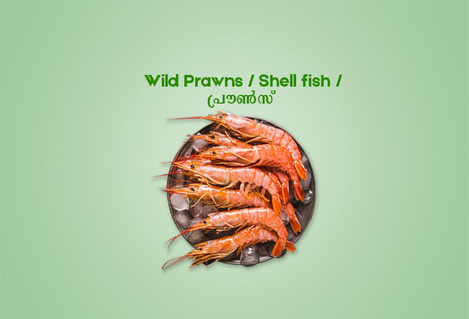 Wild Prawns / Shell fish / പ്രൗൺസ് (500gm)